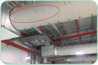 易游·(中国区)体育官方网站-YY SPORTS